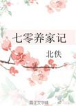 七零养家记作者北佚