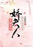 宰辅家的娇夫人txt