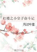 红楼之皇子有系统