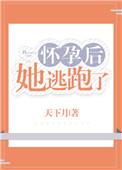 怀孕后她逃跑了书评