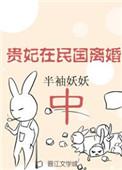 贵妃在民国离婚中 百度