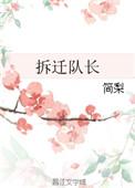 拆迁大队长设定