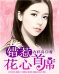错惹花心首席 电视剧
