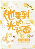 他看到光的背面结局