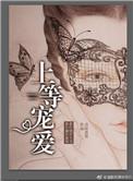 上等宠爱番外