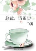 总裁请留步飞翼全文TXT免费