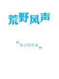 荒野风声无防盗