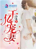 千亿婚宠免费阅读