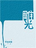 雕光by平生好剑讲的什么