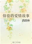 俗套的爱情故事加番外