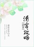 清宫宫略清穿