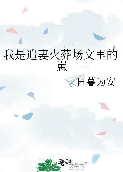 书名是追妻火葬场