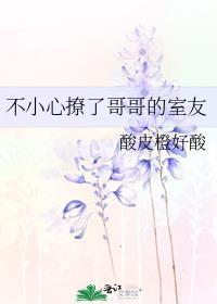 不小心潜了哥哥
