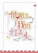 他掀了我的红盖头 百度