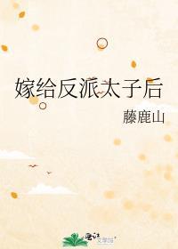 嫁给反派太子后番外txt
