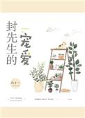 封先生的宠爱全文