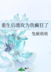 重生后渣攻为我癫狂了txt