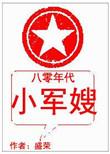 八零年代小军嫂盛荣