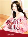 总裁半夜来敲门萌妻哪里逃