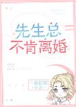 先生总不肯离婚by一扇轻收txt