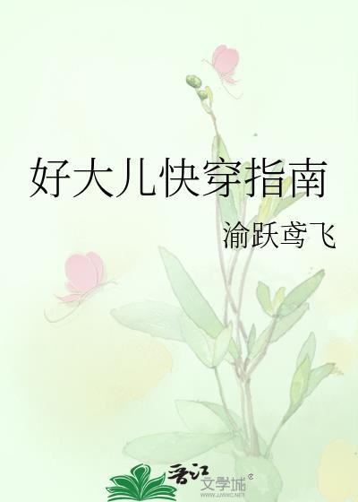 好大儿快穿指南格格党