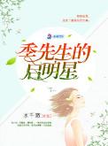 季先生是什么