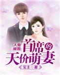 首席的天价萌妻