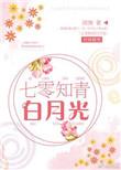 七零知青白月光 穿书