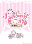 小肥揪的豪门宠婚