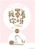 我罩着你呀阿淳txt