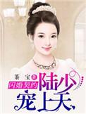 闪婚陆少的心尖宠妻全文