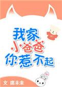 我家小爸爸你惹不起讲了什么