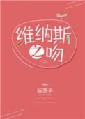 维纳斯之吻第几集