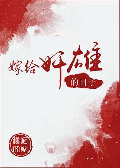 嫁给奸雄的日子 无防盗