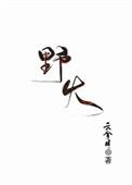 野火科技取得贴片机送料器专利