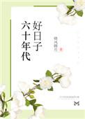 六十年代好日子全文免费阅读