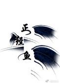 正经鱼在线破案by