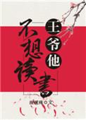 王爷不耍