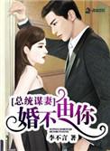 总统谋妻婚不由你沈南风