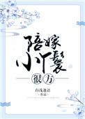 陪嫁丫鬟有点方