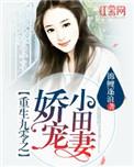 重生九零小娇媳免费阅读全文