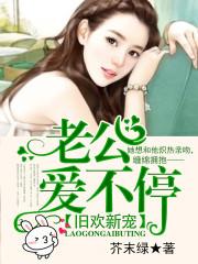 老公爱不停