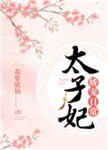 太子妃娇宠妃日常