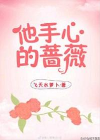 他手心的蔷薇朦荳txt