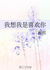 我想我是喜欢你的