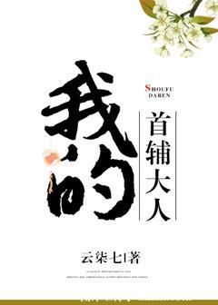 我的首辅大人讲什么