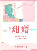 甜婚日记