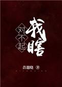 对不起我眼盲