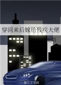 穿回来后嫁给残疾大佬无删减