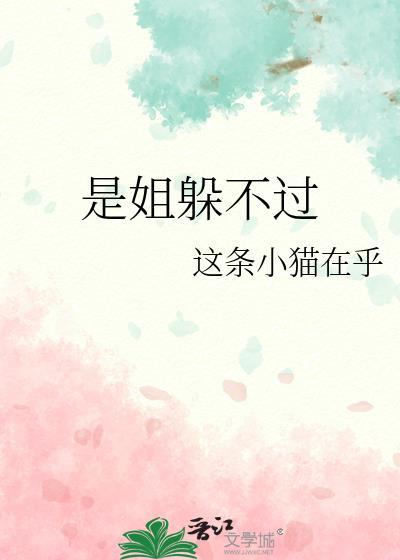是姐躲不过TXT电子书